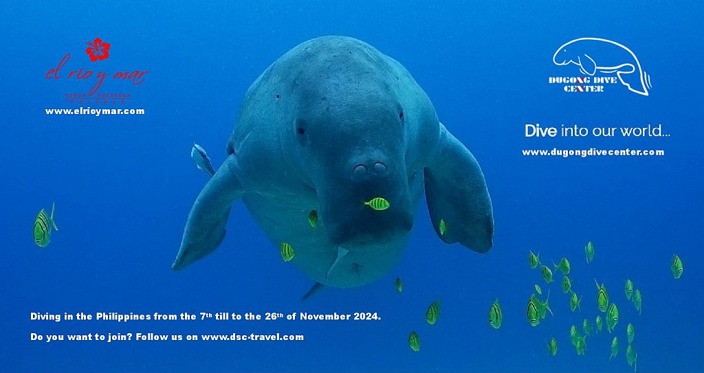 Visit Dugong! Visit Philippines!